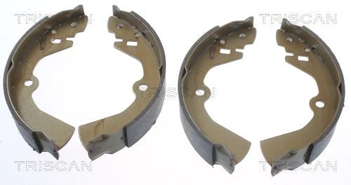 Stabdžių trinkelių komplektas, stovėjimo stabdis TRISCAN 8100 10464