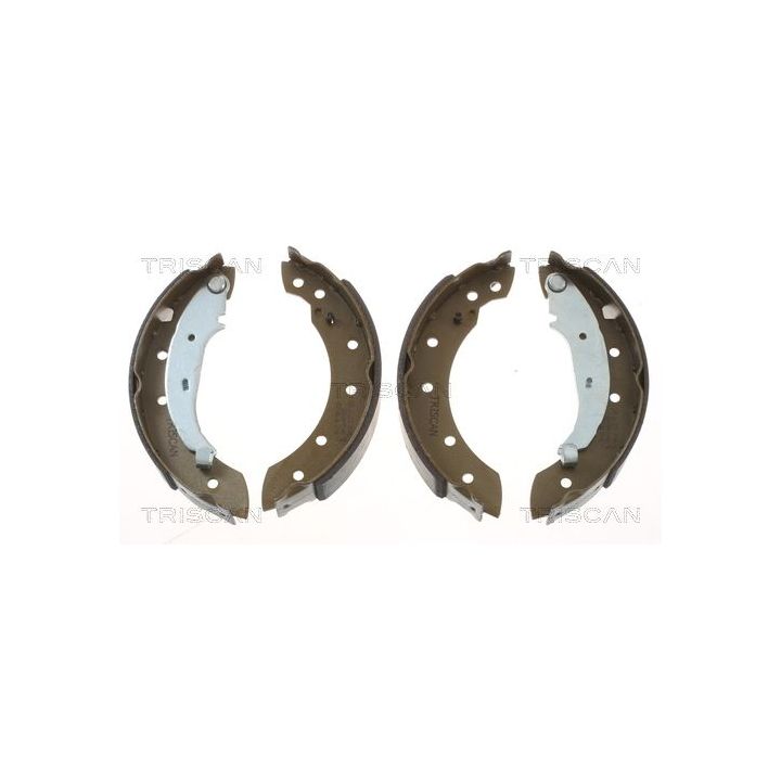 Stabdžių trinkelių komplektas TRISCAN 8100 10572