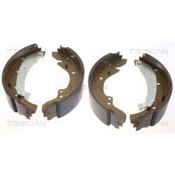 Stabdžių trinkelių komplektas TRISCAN 8100 10573