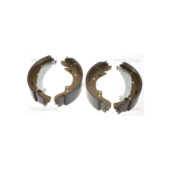 Stabdžių trinkelių komplektas TRISCAN 8100 10573