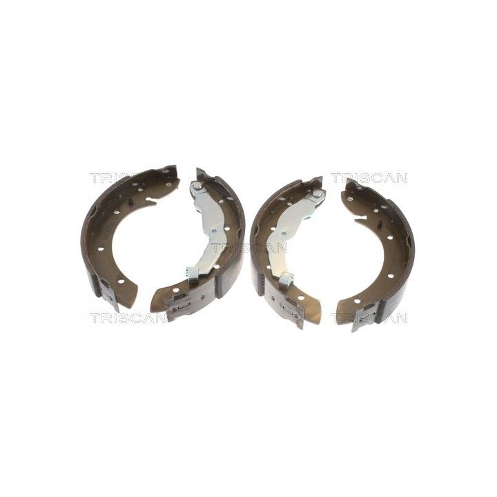 Stabdžių trinkelių komplektas TRISCAN 8100 10575