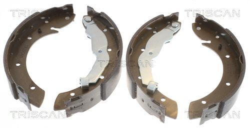Stabdžių trinkelių komplektas TRISCAN 8100 10575