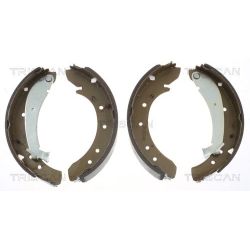 Stabdžių trinkelių komplektas TRISCAN 8100 10576