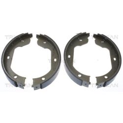 Stabdžių trinkelių komplektas, stovėjimo stabdis TRISCAN 8100 11012