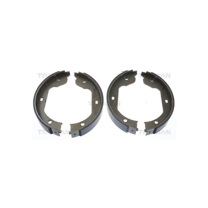 Stabdžių trinkelių komplektas, stovėjimo stabdis TRISCAN 8100 11012