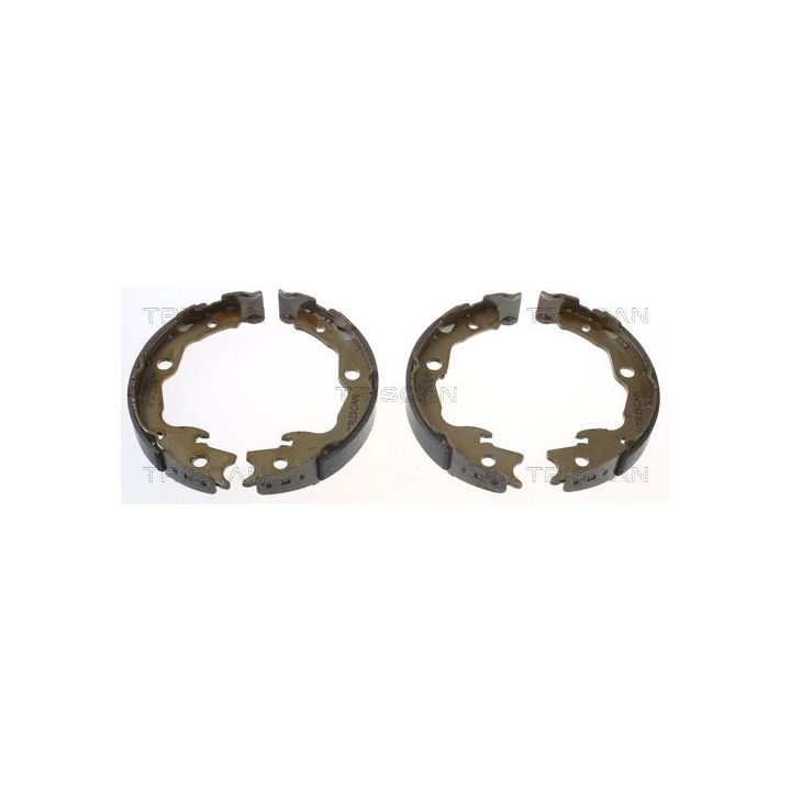 Stabdžių trinkelių komplektas, stovėjimo stabdis TRISCAN 8100 13042