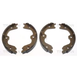 Stabdžių trinkelių komplektas, stovėjimo stabdis TRISCAN 8100 14010