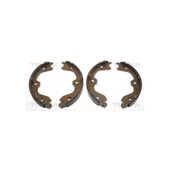 Stabdžių trinkelių komplektas, stovėjimo stabdis TRISCAN 8100 14010