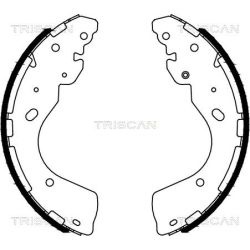 Stabdžių trinkelių komplektas TRISCAN 8100 14012