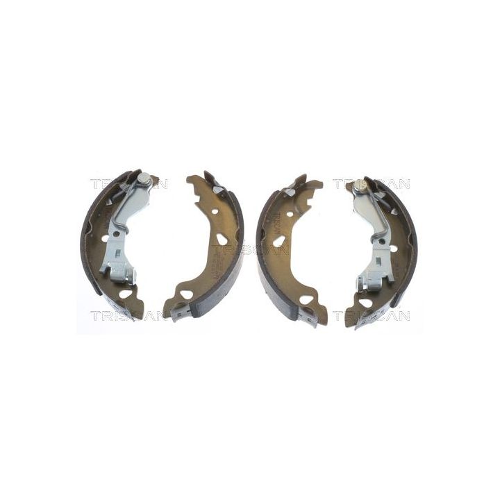 Stabdžių trinkelių komplektas TRISCAN 8100 15013