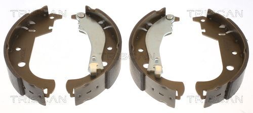 Stabdžių trinkelių komplektas TRISCAN 8100 15014