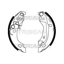 Stabdžių trinkelių komplektas TRISCAN 8100 15015