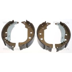 Stabdžių trinkelių komplektas TRISCAN 8100 15020