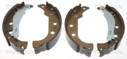 Stabdžių trinkelių komplektas TRISCAN 8100 15020