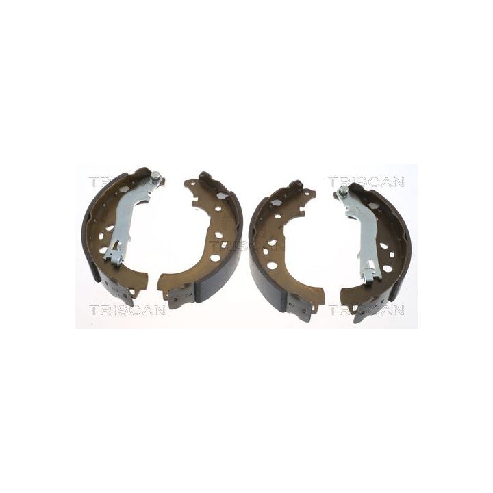 Stabdžių trinkelių komplektas TRISCAN 8100 15021