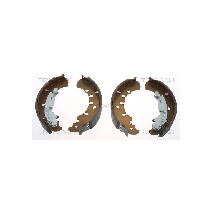 Stabdžių trinkelių komplektas TRISCAN 8100 15023