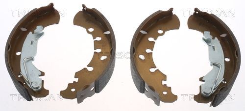 Stabdžių trinkelių komplektas TRISCAN 8100 15023