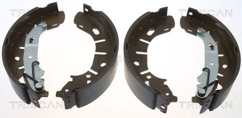 Stabdžių trinkelių komplektas TRISCAN 8100 15028