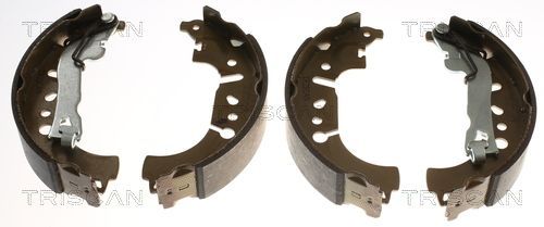 Stabdžių trinkelių komplektas TRISCAN 8100 15029