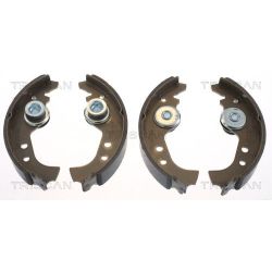 Stabdžių trinkelių komplektas TRISCAN 8100 15383