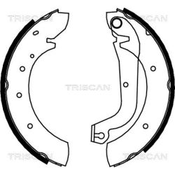 Stabdžių trinkelių komplektas TRISCAN 8100 15480