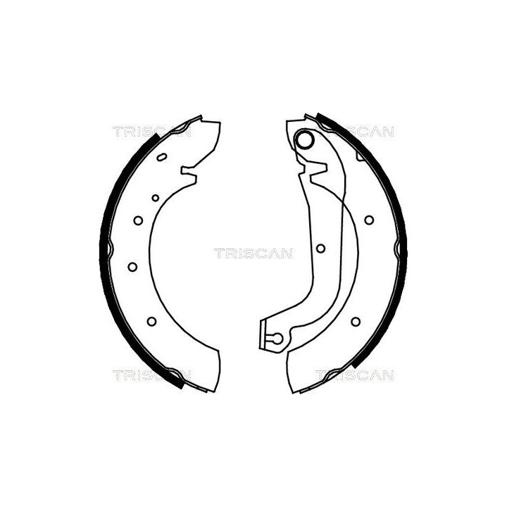 Stabdžių trinkelių komplektas TRISCAN 8100 15480