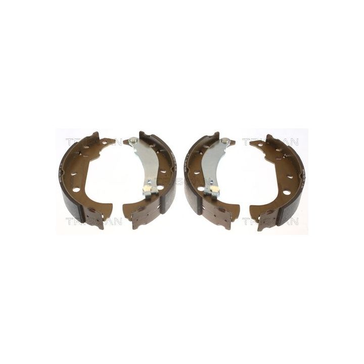 Stabdžių trinkelių komplektas TRISCAN 8100 15483