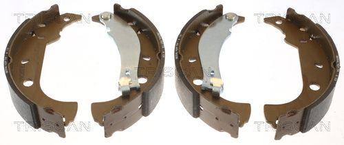 Stabdžių trinkelių komplektas TRISCAN 8100 15483