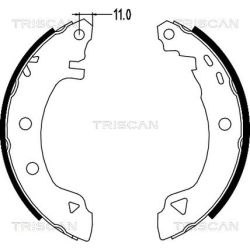 Stabdžių trinkelių komplektas TRISCAN 8100 15580