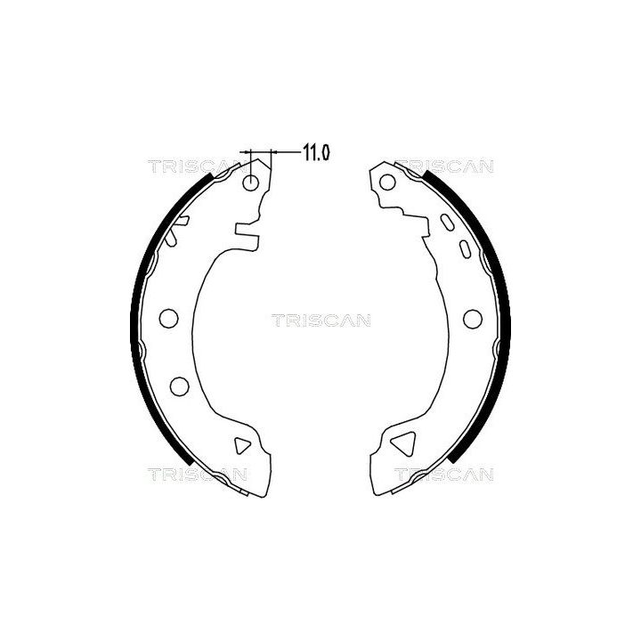 Stabdžių trinkelių komplektas TRISCAN 8100 15580