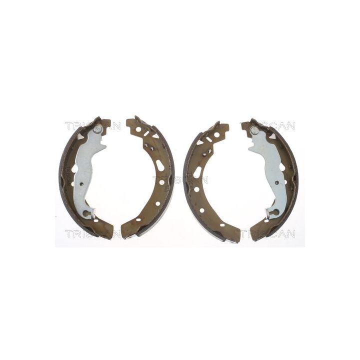 Stabdžių trinkelių komplektas TRISCAN 8100 16012