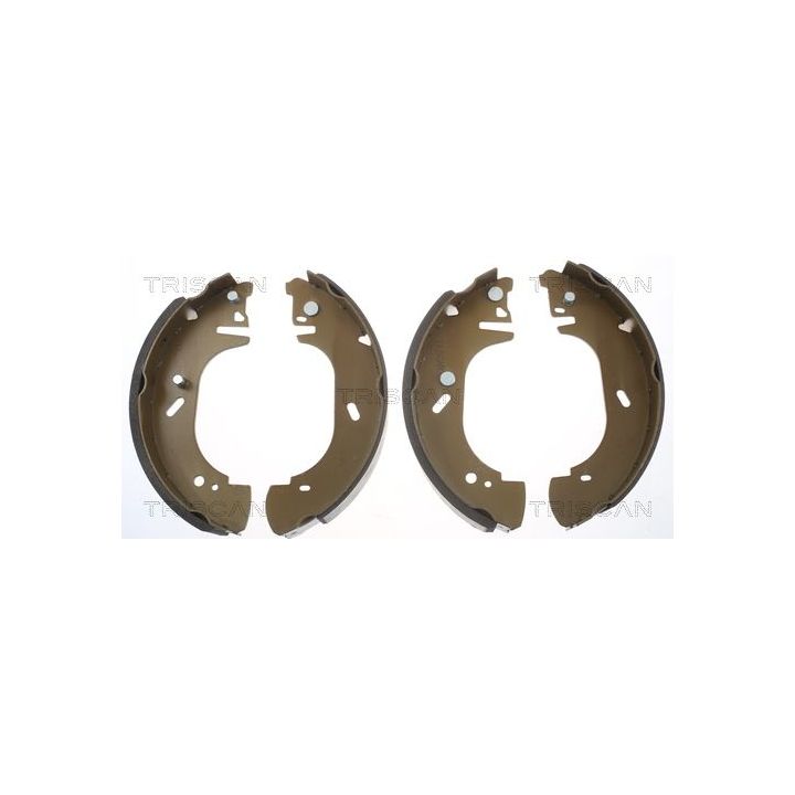 Stabdžių trinkelių komplektas TRISCAN 8100 16571