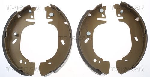 Stabdžių trinkelių komplektas TRISCAN 8100 16571