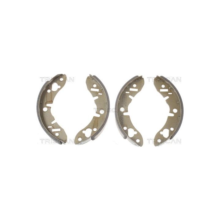 Stabdžių trinkelių komplektas TRISCAN 8100 17003