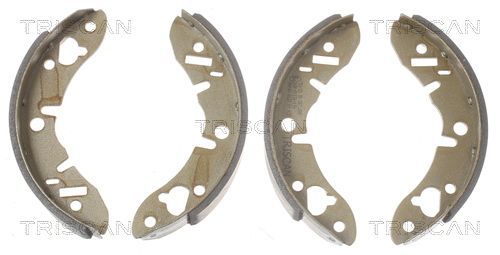 Stabdžių trinkelių komplektas TRISCAN 8100 17003