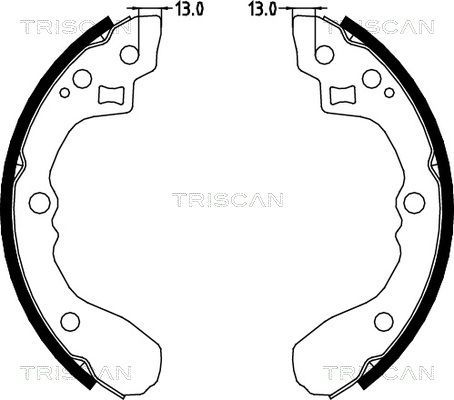 Stabdžių trinkelių komplektas, stovėjimo stabdis TRISCAN 8100 18001