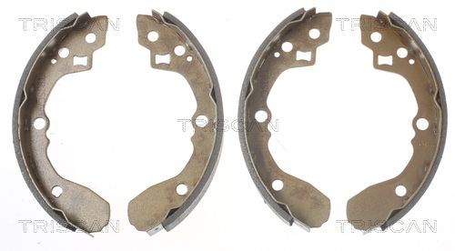 Stabdžių trinkelių komplektas TRISCAN 8100 18002