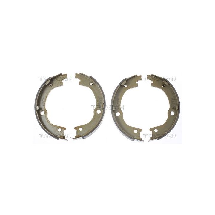 Stabdžių trinkelių komplektas, stovėjimo stabdis TRISCAN 8100 18006