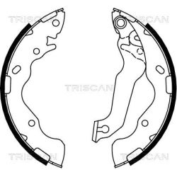Stabdžių trinkelių komplektas TRISCAN 8100 18009