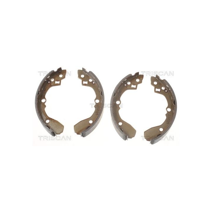 Stabdžių trinkelių komplektas TRISCAN 8100 18012