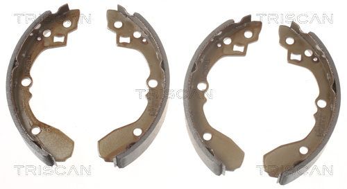 Stabdžių trinkelių komplektas TRISCAN 8100 18012