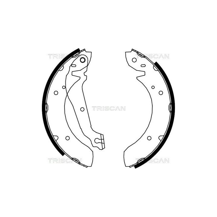 Stabdžių trinkelių komplektas TRISCAN 8100 18013