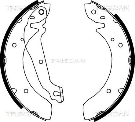 Stabdžių trinkelių komplektas TRISCAN 8100 18013