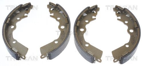 Stabdžių trinkelių komplektas TRISCAN 8100 18015