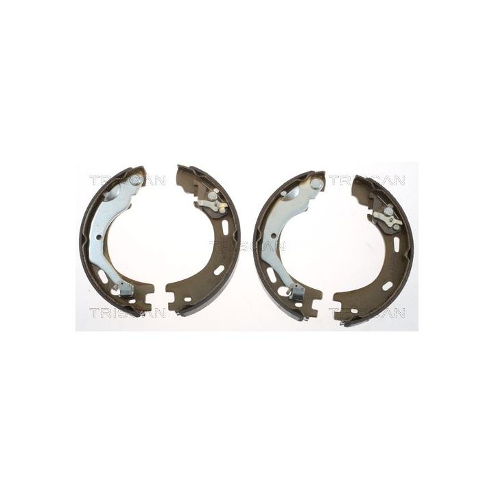 Stabdžių trinkelių komplektas TRISCAN 8100 18016