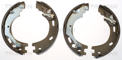 Stabdžių trinkelių komplektas TRISCAN 8100 18016
