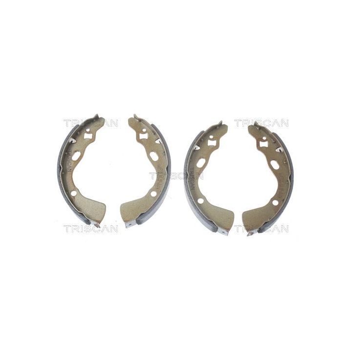 Stabdžių trinkelių komplektas TRISCAN 8100 18507