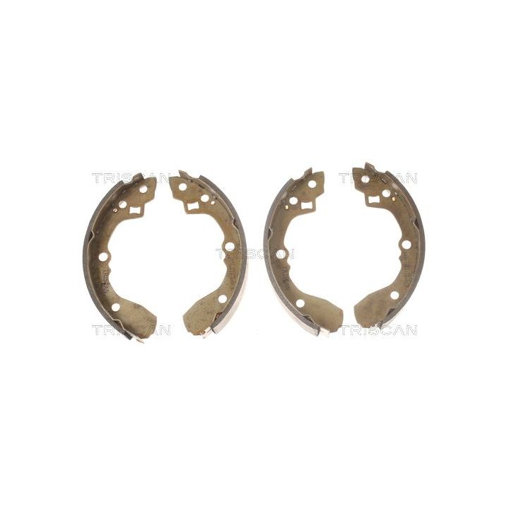 Stabdžių trinkelių komplektas TRISCAN 8100 18590