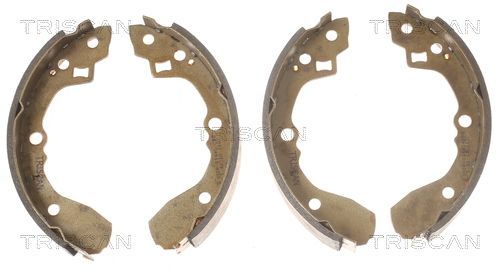 Stabdžių trinkelių komplektas TRISCAN 8100 18590