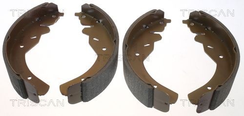 Stabdžių trinkelių komplektas TRISCAN 8100 18595